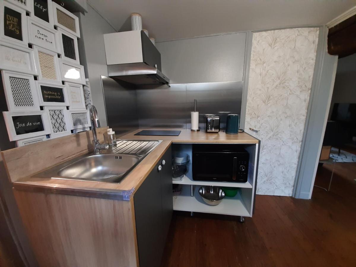 Dans Moulin Au Bord De L'Eau, Appartement Chaleureux Saint-Pryvé-Saint-Mesmin Εξωτερικό φωτογραφία